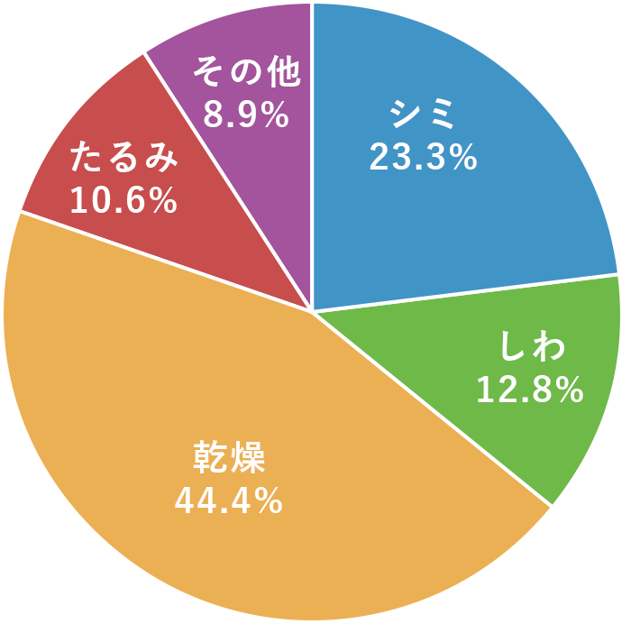 あなたの肌の悩みは何ですか？